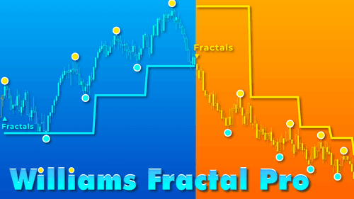 リスニング 鈴鹿8時間耐久 TRICK STAR レーシング | TRICK STAR - マフラー