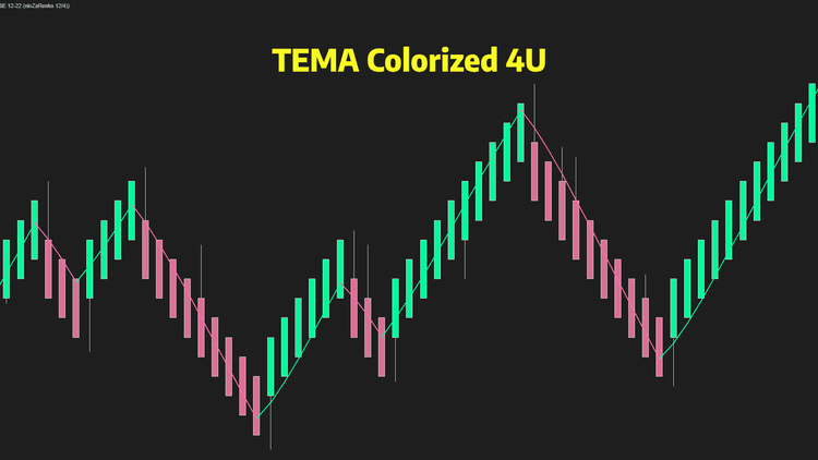 TEMA Colorized 4U